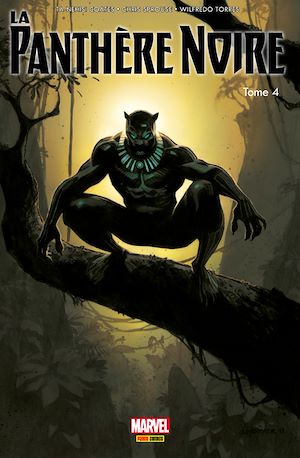 Téléchargez le livre :  La panthère noire (2016) T04