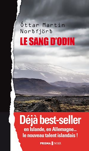 Téléchargez le livre :  Le sang d'Odin