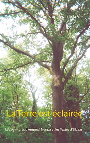 Téléchargez le livre :  La Terre est éclairée