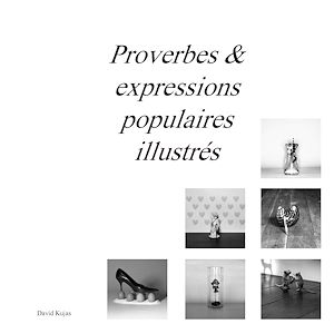 Téléchargez le livre :  Proverbes & expressions populaires illustrés