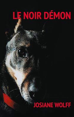 Télécharger le livre :  Le noir démon