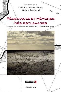 Télécharger le livre :  Résistances et mémoires des esclavages