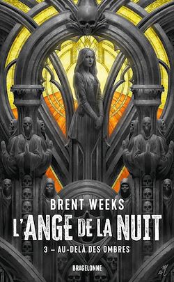 Télécharger le livre :  L'Ange de la Nuit, T3 : Au-delà des ombres