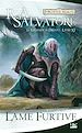 Télécharger le livre :  La Légende de Drizzt, T11 : Lame furtive