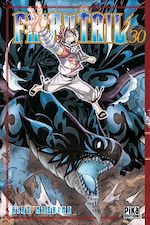Télécharger le livre :  Fairy Tail T30