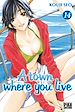 Télécharger le livre :  A town where you live T14