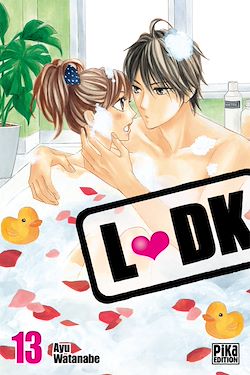 Télécharger le livre :  LDK T13