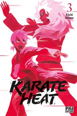 Télécharger le livre :  Karate Heat T03