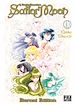 Télécharger le livre :  Sailor Moon Eternal Edition T10