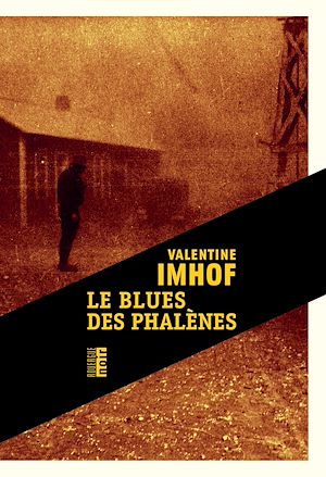 Téléchargez le livre :  Le blues des phalènes
