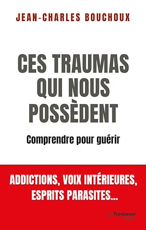 Téléchargez le livre :  Ces traumas qui nous possèdent - Comprendre pour guérir