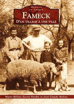 Télécharger le livre :  Fameck - D'un village à une ville