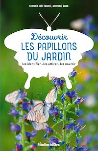 Téléchargez le livre :  Découvrir les papillons du jardin