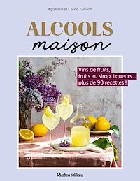 Téléchargez le livre :  Alcools maison