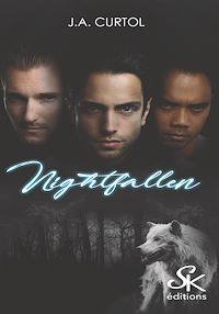 Téléchargez le livre :  Nightfallen