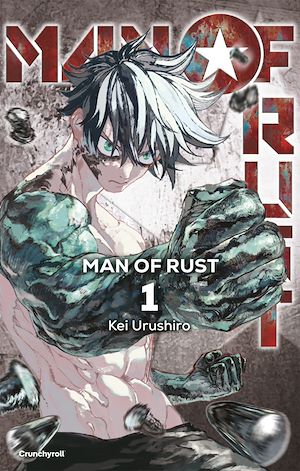 Téléchargez le livre :  Man of Rust T01