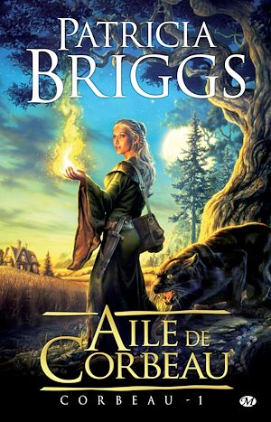 Téléchargez le livre :  Corbeau, T1 : Aile de Corbeau