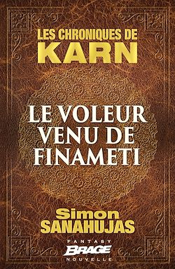 Télécharger le livre :  Les Chroniques de Karn : Le voleur venu de Finameti