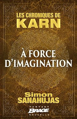 Télécharger le livre :  Les Chroniques de Karn : À force d'imagination