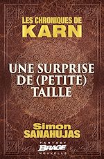 Télécharger le livre :  Les Chroniques de Karn : Une surprise de (petite) taille