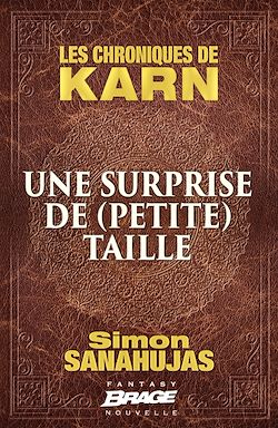 Télécharger le livre :  Les Chroniques de Karn : Une surprise de (petite) taille