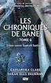 Télécharger le livre :  The Mortal Instruments - Les Chroniques de Bane tome 6 : Il faut sauver Raphaël Santiago !