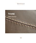 Télécharger le livre :  Trinité