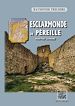 Télécharger le livre :  Esclarmonde de Péreille, martyre cathare