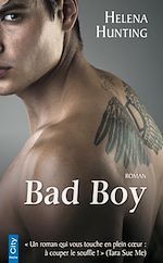 Télécharger le livre :  Bad Boy