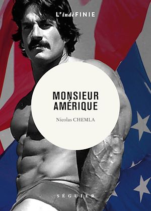 Téléchargez le livre :  Monsieur Amérique