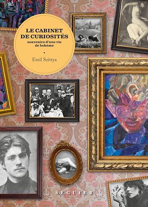 Téléchargez le livre :  Le Cabinet de curiosités. Souvenirs d'une vie de bohème