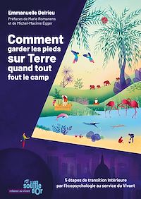 Téléchargez le livre :  Comment garder les pieds sur Terre quand tout fout le camp