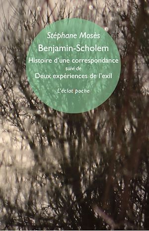 Téléchargez le livre :  Benjamin-Scholem. Histoire d'une correspondance