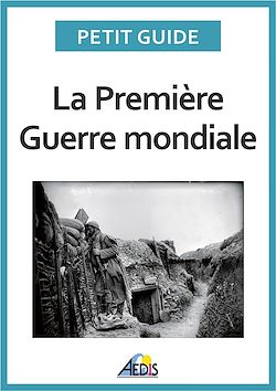 Télécharger le livre :  La Première Guerre mondiale