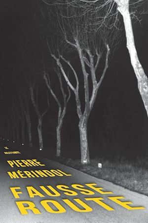 Téléchargez le livre :  Fausse route