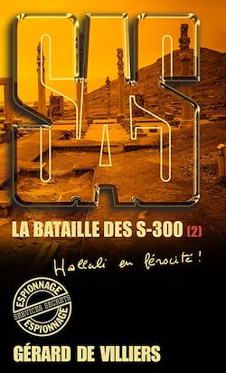 Télécharger le livre :  SAS 179 La bataille des S-300 T2