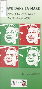 Download this eBook Un pavé dans la mare