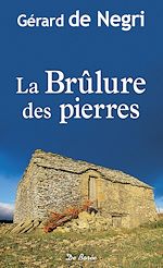 Download this eBook La Brûlure des pierres