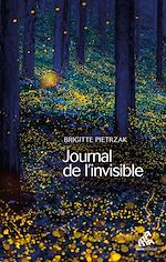 Télécharger le livre :  Journal de l'invisible