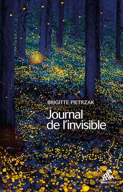 Télécharger le livre :  Journal de l'invisible