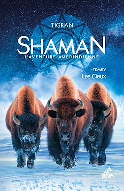 Télécharger le livre :  Shaman, L'Aventure amérindienne : Tome 5, Les Cieux
