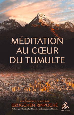 Download the eBook: Méditation au coeur du tumulte