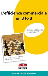 Téléchargez le livre :  L'efficience commerciale en B to B