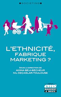 Téléchargez le livre :  L'éthnicité, fabrique marketing ?