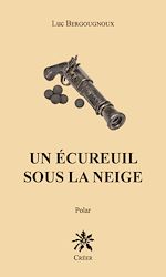 Télécharger le livre :  Un écureuil sous la neige