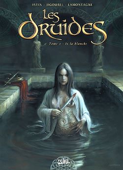 Télécharger le livre :  Les Druides T02