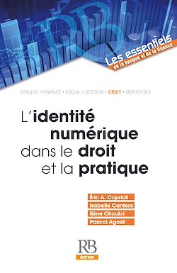Télécharger le livre :  L’identité numérique dans le droit et la pratique
