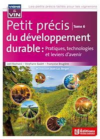 Téléchargez le livre :  Petit précis du développement durable tome 6