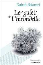 Télécharger le livre :  Le galet de l'hirondelle
