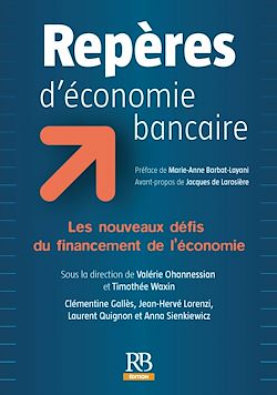 Télécharger le livre :  Repères d'économie bancaire